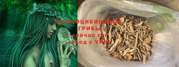 молекула духа Балахна