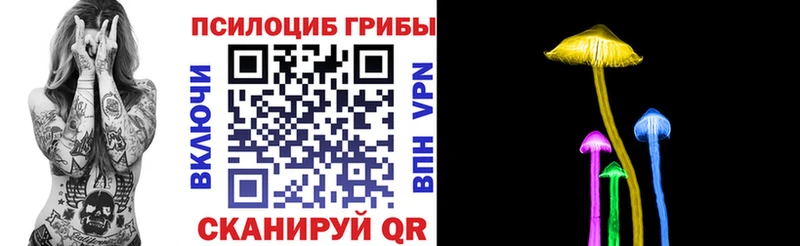 Псилоцибиновые грибы Psilocybine cubensis  Короча 